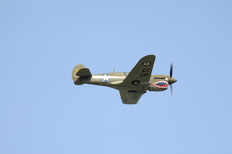 P-40.jpg - P-40