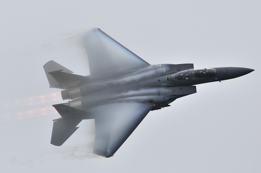 Pic.18.jpg - F-15E Strike Eagle 89-0495  2