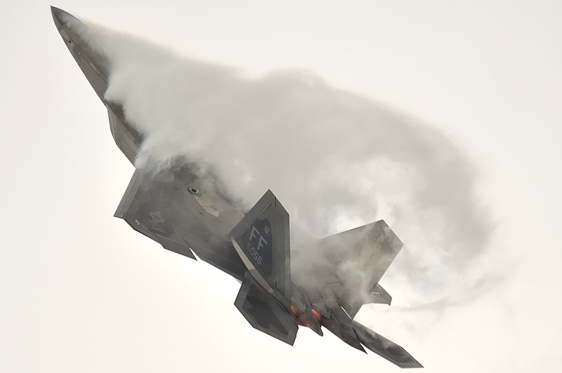 F-22 Raptor.jpg - F22 Raptor