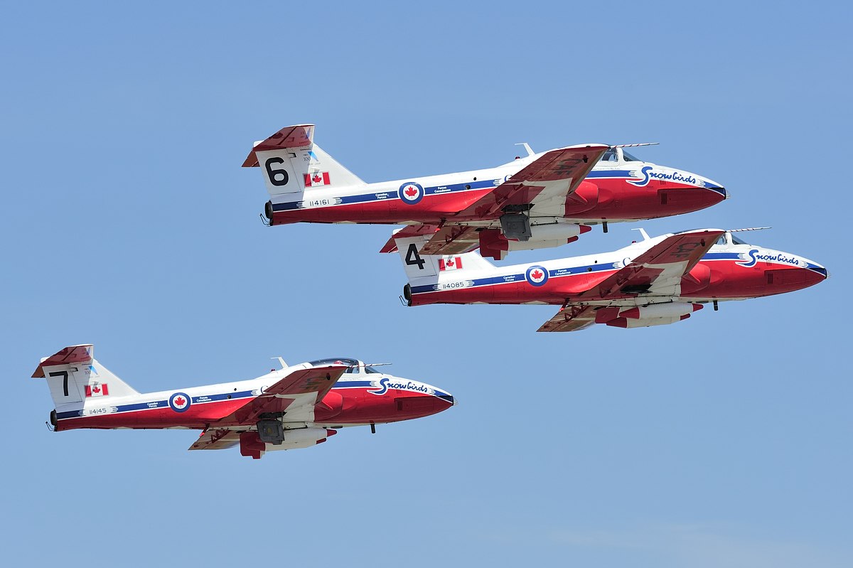 Snowbirds.jpg - Snowbirds