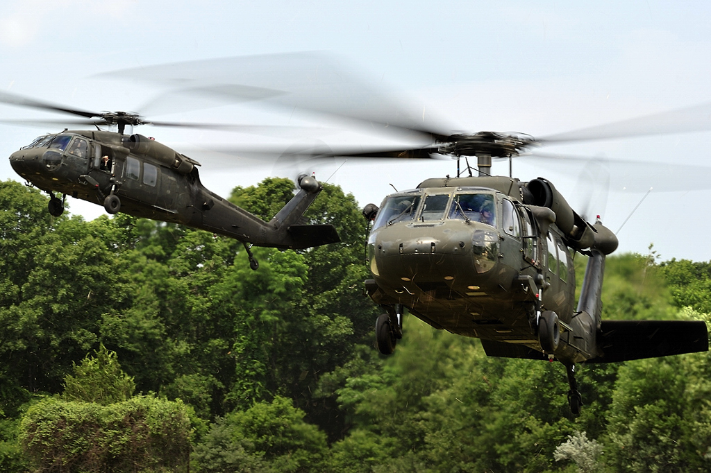 Pic.3.jpg - Sikorsky UH-60L Black Hawk  S-70A    2