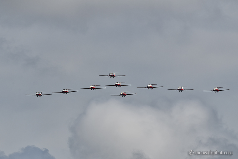 _D852081 copy.jpg -  The Snowbirds