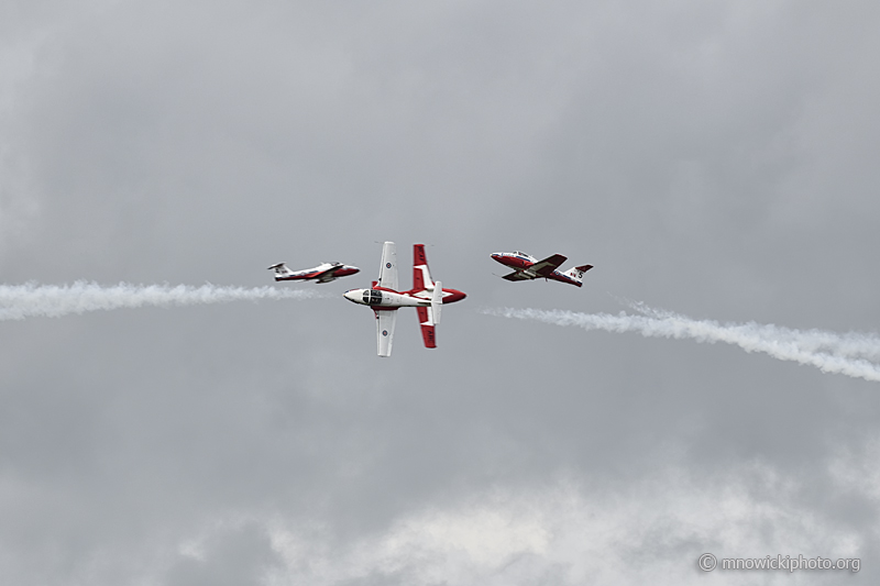 _D852171 copy.jpg -  The Snowbirds  (2)