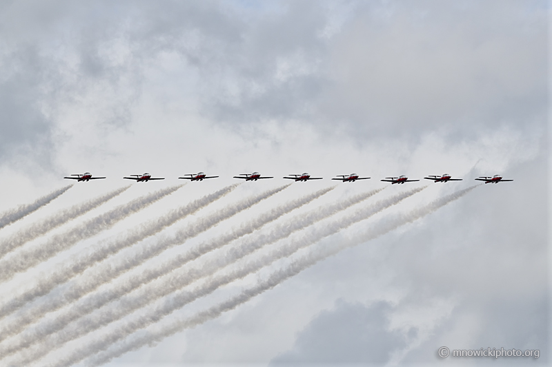 _D852213 copy.jpg -  The Snowbirds  (3)