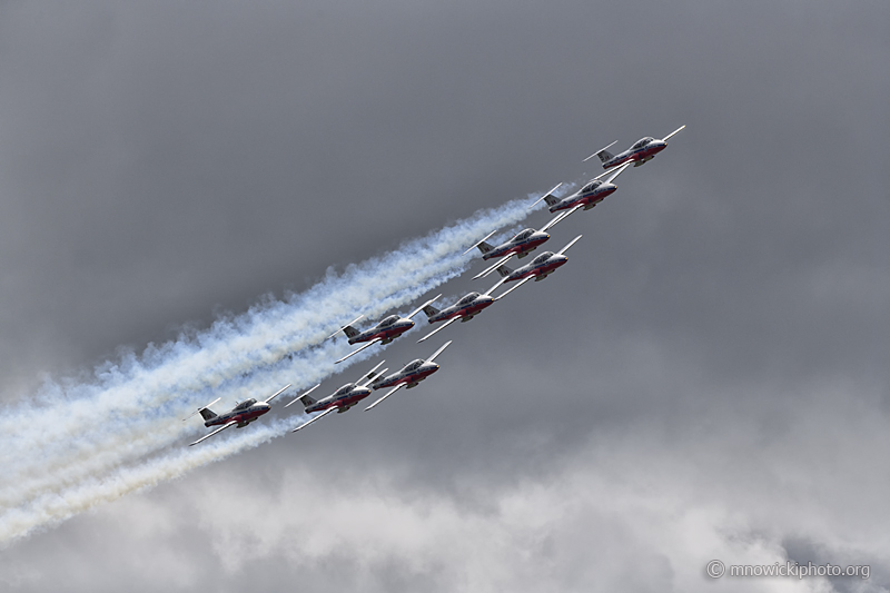 _D852221 copy.jpg -  The Snowbirds  (4)