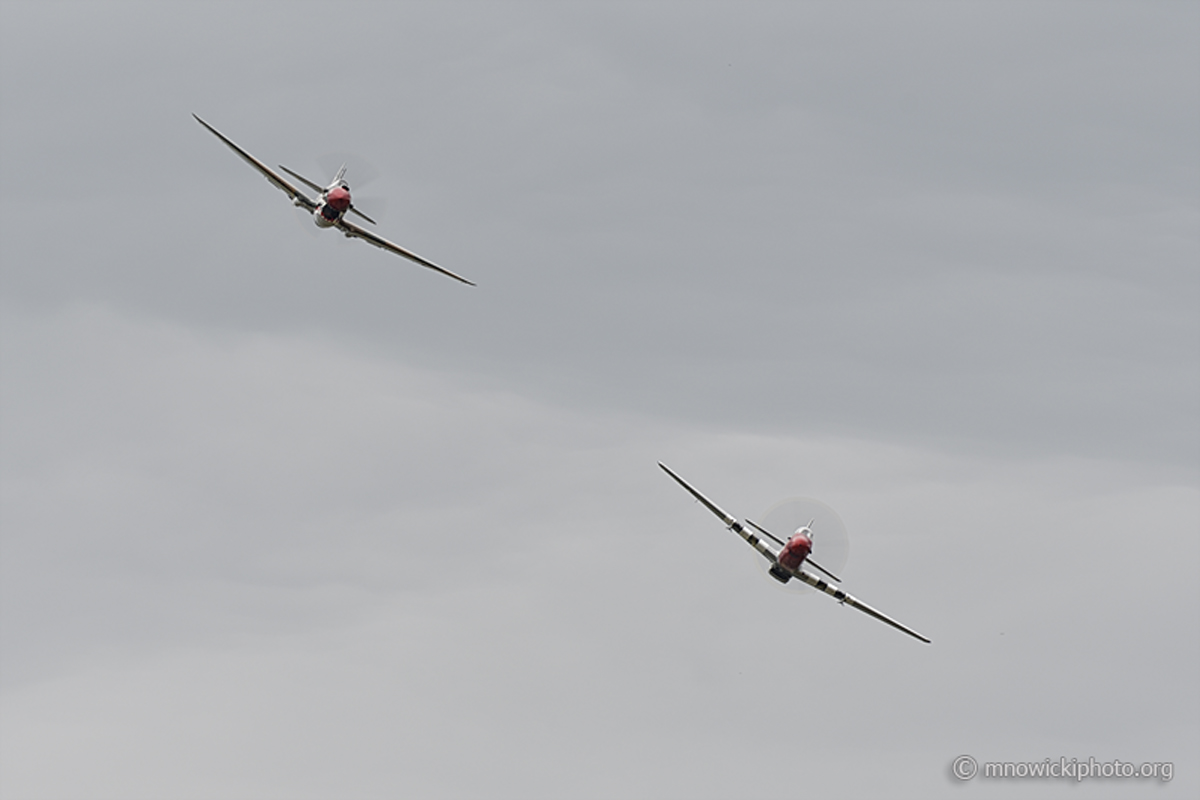 _DPI1887 copy.jpg - Curtiss P-40M Warhawk "Jacky C."   NX1232N and North American P-51D Mustang  NL10601  (2)