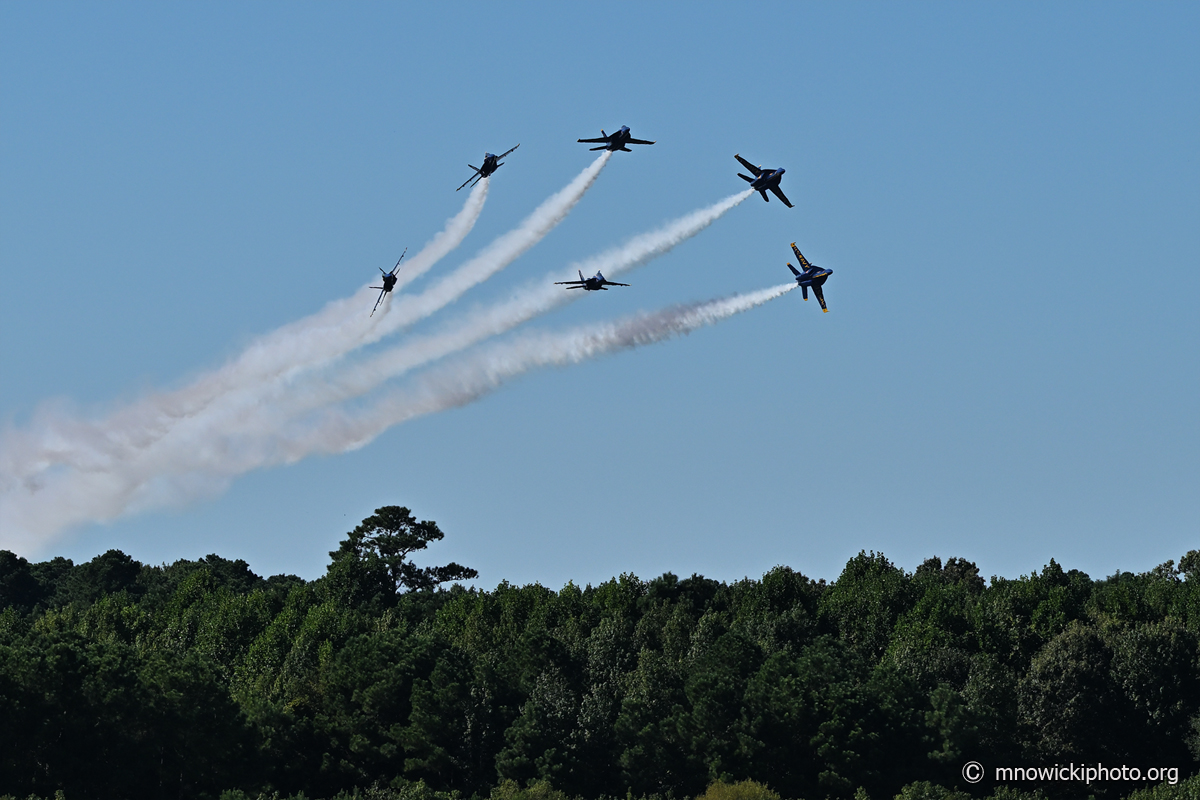 MN8_4295 copy.jpg - "Blue Angels" and "Godzilla tree"