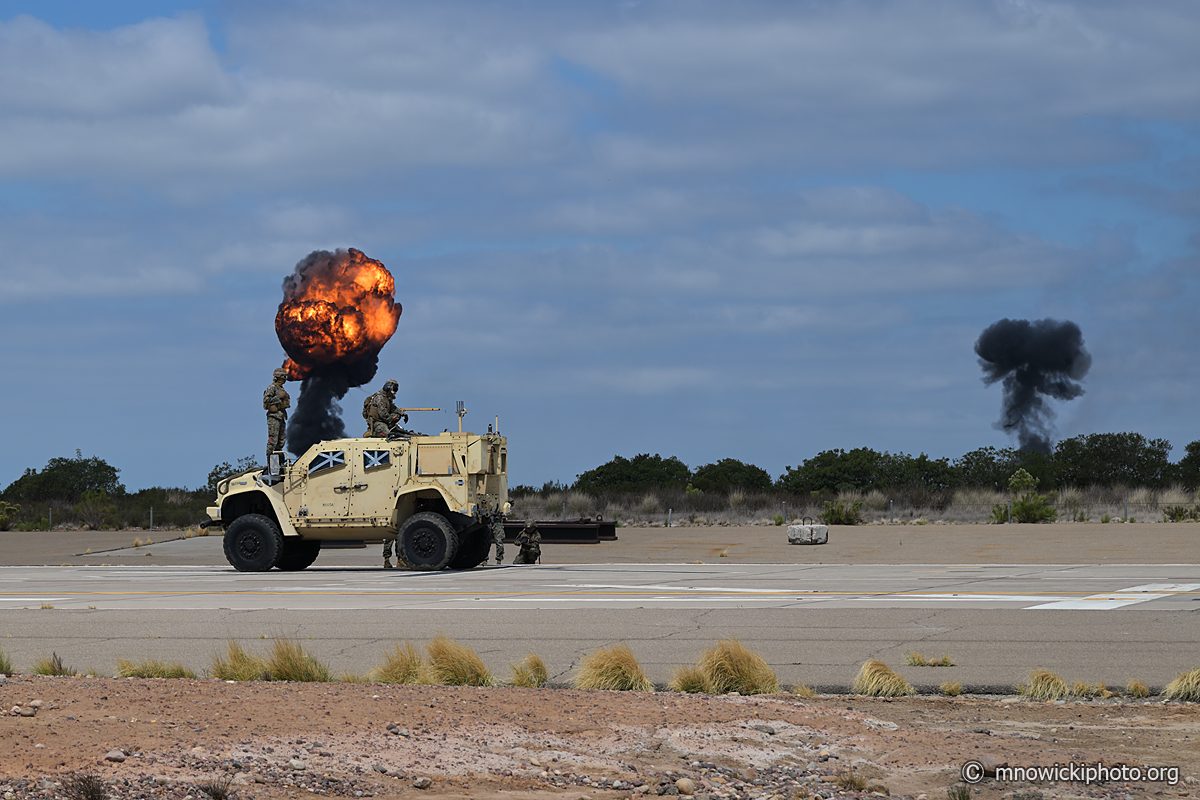 DSC_3846 (2) copy.jpg