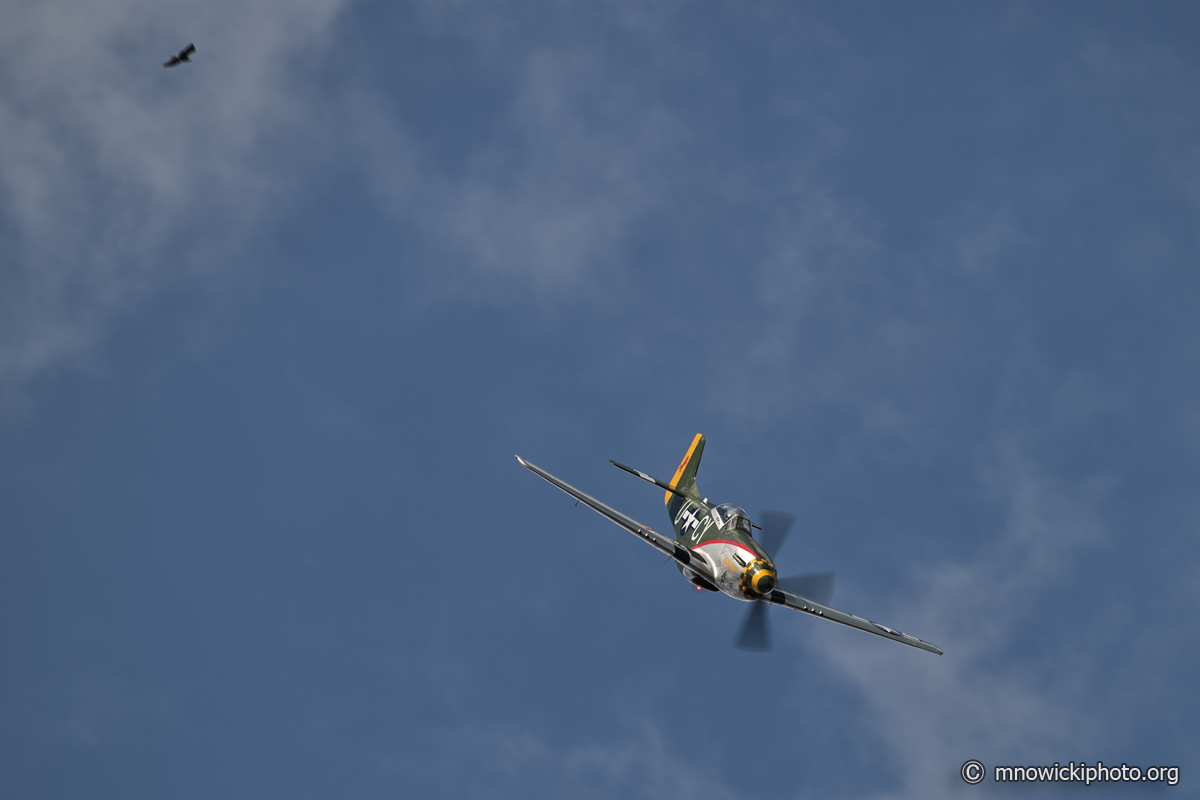 M81_3980 copy.jpg - North American P-51D Mustang "Gunfighter" C/N 122-39723, N5428V