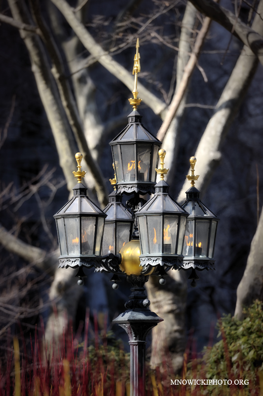 _D3S7120.jpg - Lamp