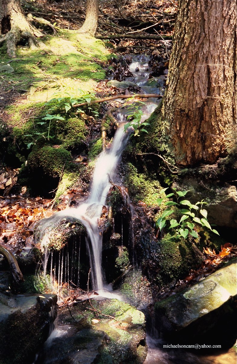 Bushkill__2005__02.jpg - Bushkill Falls  4