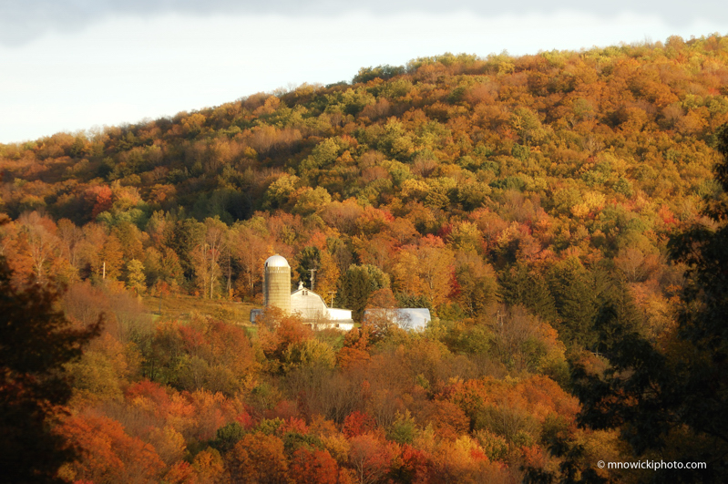 DSC_4587_1.jpg - Autumn Farm