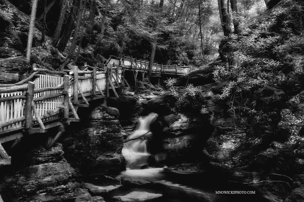 Paradise 2.jpg -  Bushkill Falls Paradise