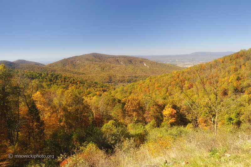 _D3S6204.jpg - Skyline Drive VA