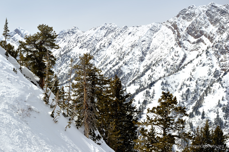 _D3S6598.jpg - Snowbird  UT 5 