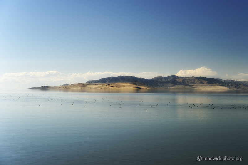 _D3S7688_1.jpg - Salt Lake