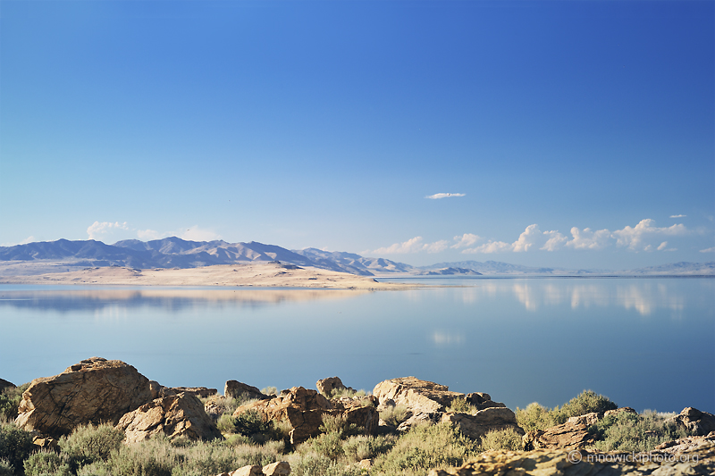 _D3S7728_1 copy.jpg - Salt Lake 5