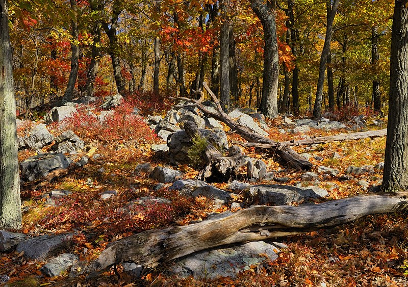 _DSC1837c12.jpg - Mt Tammany