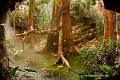 Bronx-Zoo-01