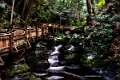 Bushkill Falls